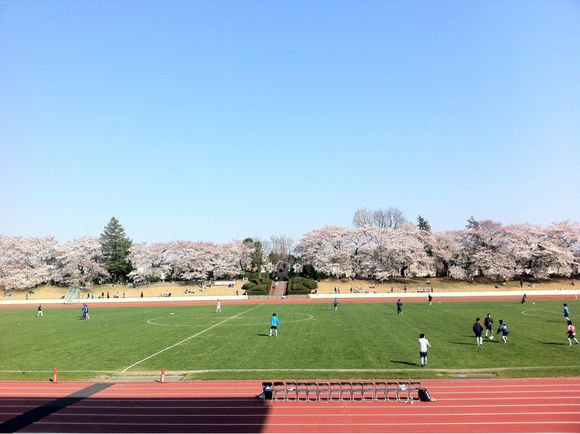 2012/04/08 引き続き武蔵野陸上競技場