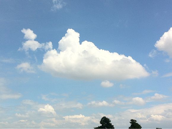 2012/08/04 引き続き川越運動公園陸上競技場