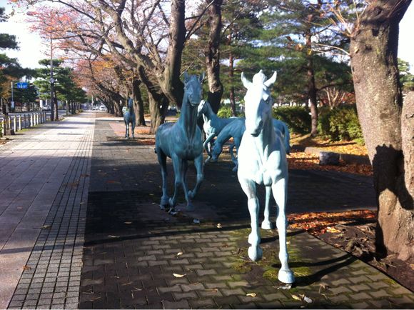 2013/11/08 十和田市陸上競技場⇦ここじゃない