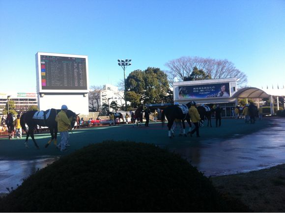 2013/12/29 大井競馬場着