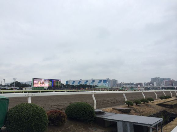 2014/12/29 TCK東京競馬場着