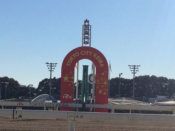 2015/12/29 TCK大井競馬場着